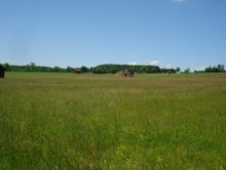 2013-06-08_Radtour_Iffeldorf-Aiderbichl (077).JPG